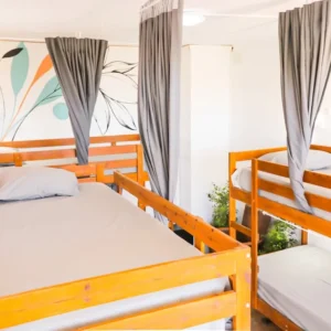 shared room accommodation at the hostel for Rocky Point Surf Experience