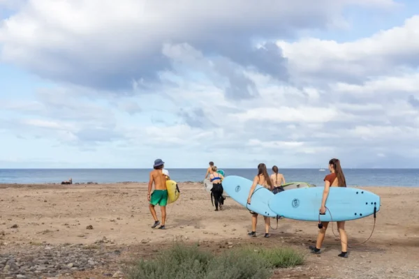 Group of surfers walking to the surf spot in Tenerife."